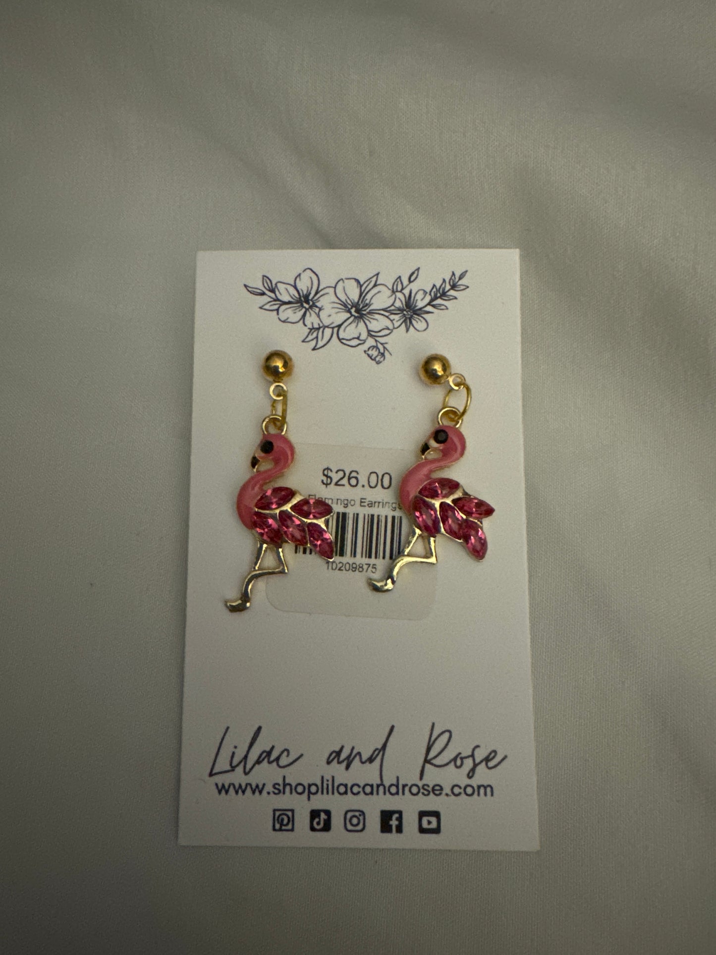 ✅ Flamingo Earrings