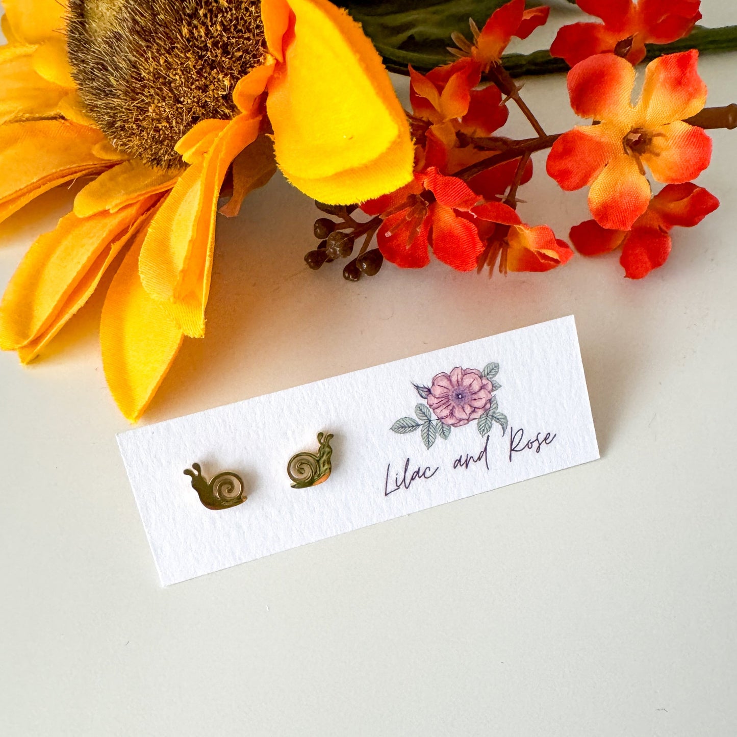 ✅ Snail Stud Earrings