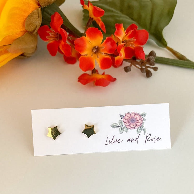 ✅ Star Stud Earrings