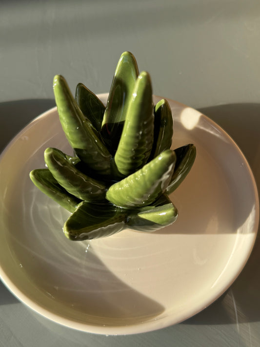 ✨ Ceramic Green Aloe Cactus Ring and Jewelry Dish